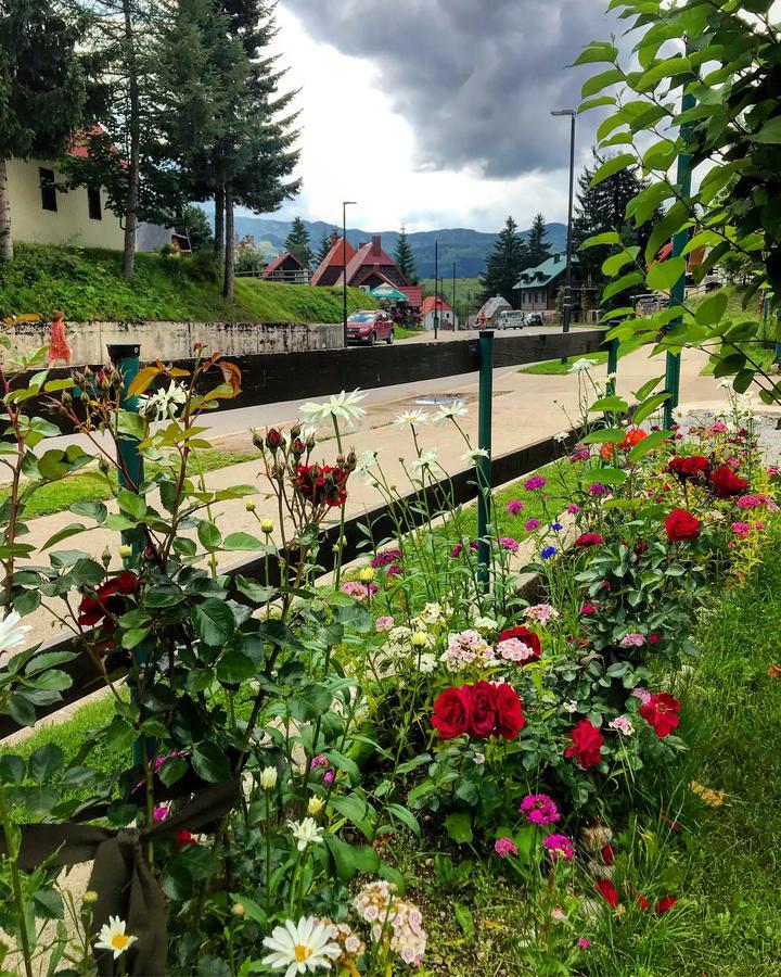 Apartments Lalovic Zabljak  Luaran gambar